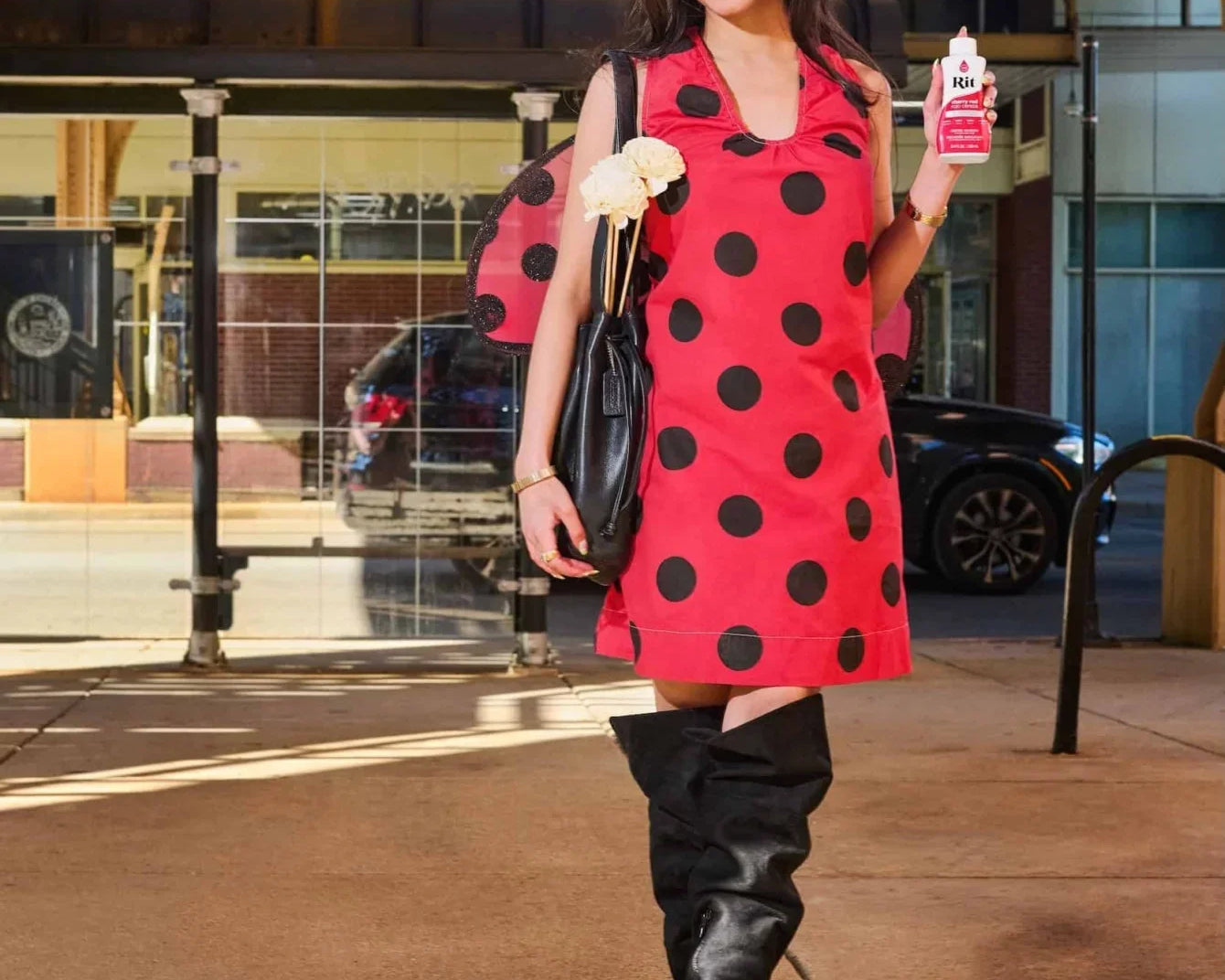 Lady Bug Costume