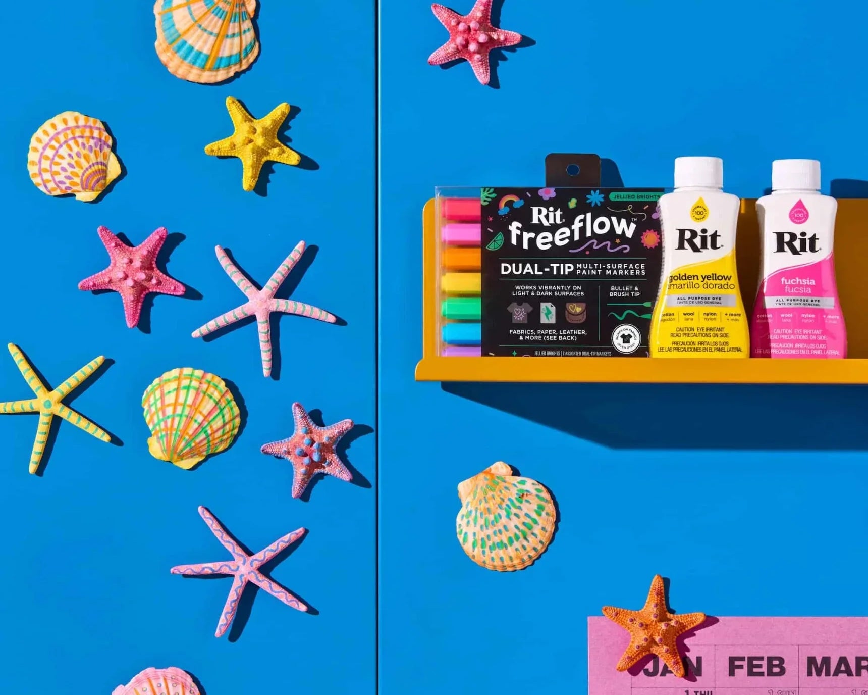 FreeFlow SeaShell Magnets